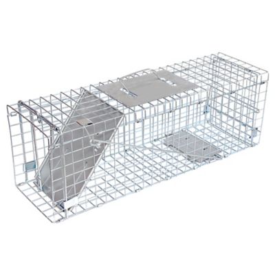 Image showing  1-Door Answer Live Animal Trap for Squirrels, Rabbits and Other Medium Pests