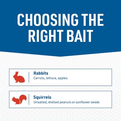 Image showing 5 th JT Eaton 1-Door Answer Live Animal Trap for Squirrels, Rabbits and Other Medium Pests