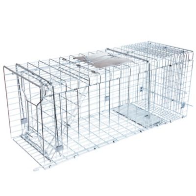 Image showing  1-Door Answer Live Animal Cage Trap for Raccoons, Groundhogs and Other Large Pests