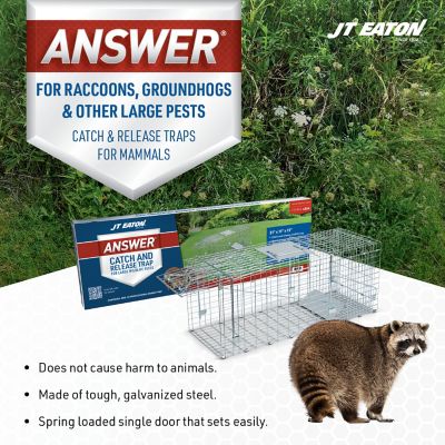 Image showing  1-Door Answer Live Animal Cage Trap for Raccoons, Groundhogs and Other Large Pests