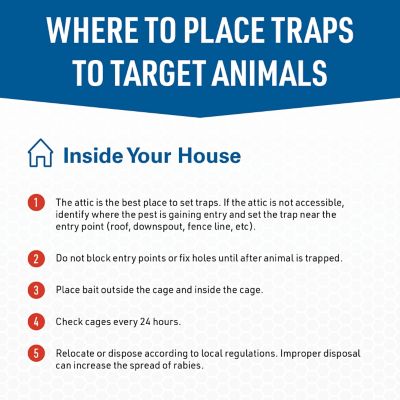 Image showing  1-Door Answer Live Animal Cage Trap for Raccoons, Groundhogs and Other Large Pests