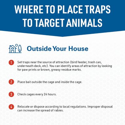 Image showing  1-Door Answer Live Animal Cage Trap for Raccoons, Groundhogs and Other Large Pests