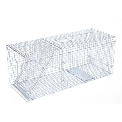 Image showing  1-Door Answer Live Animal Trap for Coyotes, Foxes, Armadillos and Other Large Pests
