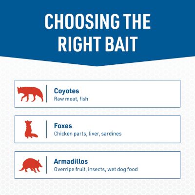 Image showing 5 th JT Eaton 1-Door Answer Live Animal Trap for Coyotes, Foxes, Armadillos and Other Large Pests