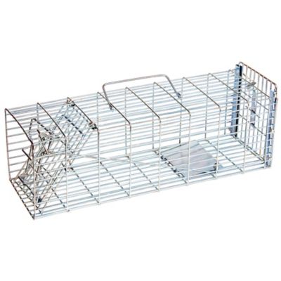 Image showing  1-Door Answer Live Animal Trap for Chipmunks, Rats, Voles and Other Small Pests