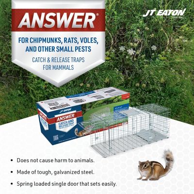 Image showing  1-Door Answer Live Animal Trap for Chipmunks, Rats, Voles and Other Small Pests