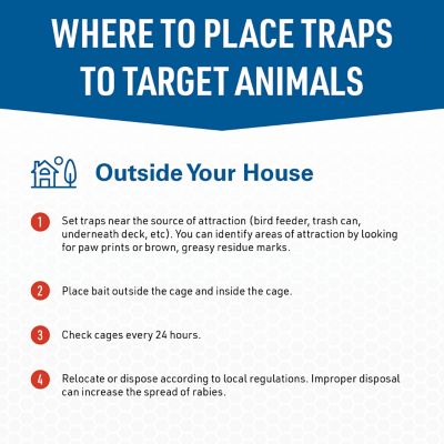 Image showing  1-Door Answer Live Animal Trap for Chipmunks, Rats, Voles and Other Small Pests