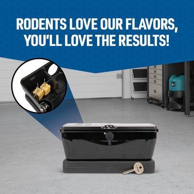 Image showing  4 lb. Rodenticide Bait Block with Peanut Butter Flavor