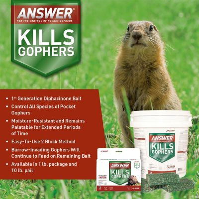 Image showing  10 lb. Answer for the Control of Pocket Gophers Block Bait