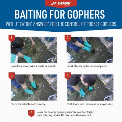 Image showing  10 lb. Answer for the Control of Pocket Gophers Block Bait