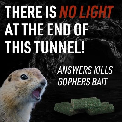 Image showing  10 lb. Answer for the Control of Pocket Gophers Block Bait