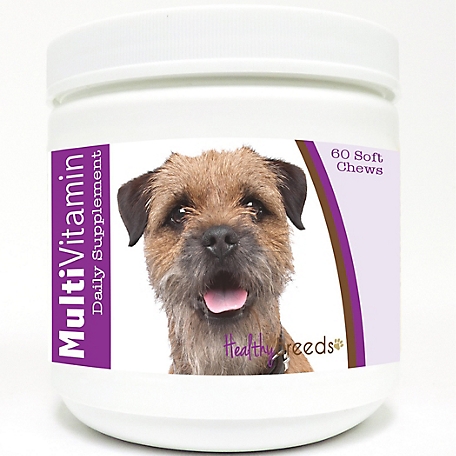 Healthy Breeds Multi-Vitamin Soft Chew Dog Supplement for Border Terriers, 60 ct.