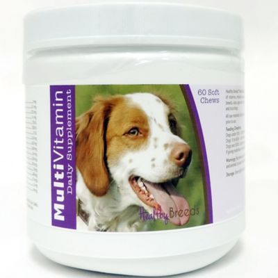 Healthy Breeds Multi-Vitamin Soft Chew Dog Supplement for Brittany, 60 ct.