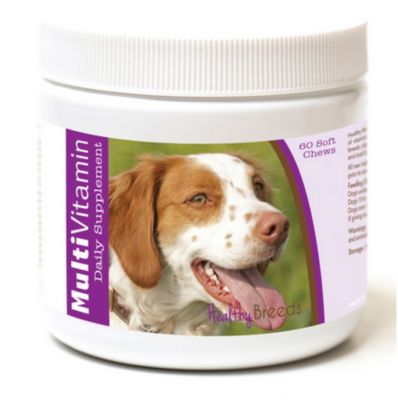 Image showing  Multi-Vitamin Soft Chew Dog Supplement for Brittany, 60 ct.