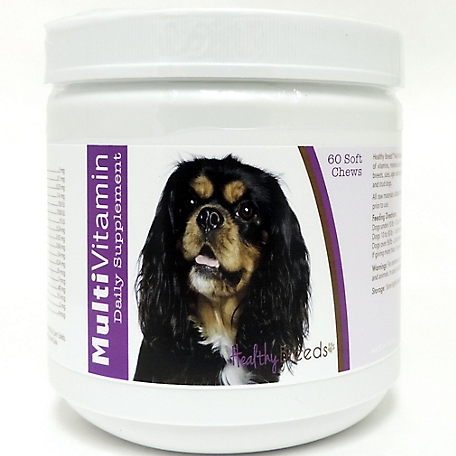 Healthy Breeds Multi-Vitamin Soft Chew Dog Supplement for Cavalier King Charles Spaniels, 60 ct.