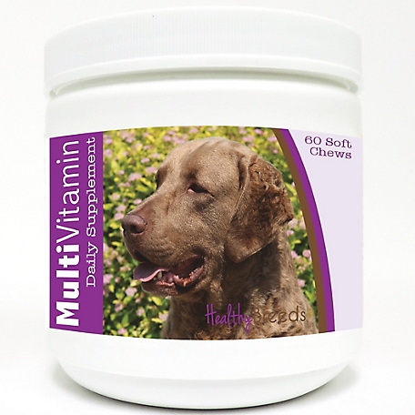 Healthy Breeds Multi-Vitamin Soft Chew Dog Supplement for Chesapeake Bay Retrievers, 60 ct.