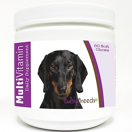 Healthy Breeds Multi-Vitamin Soft Chew Dog Supplement for Black Dachshunds, 60 ct.