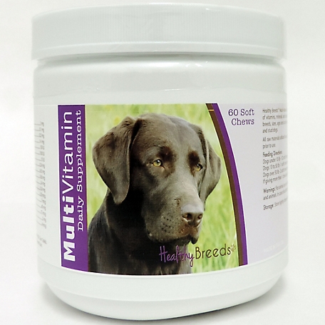 Healthy Breeds Multi-Vitamin Soft Chew Dog Supplement for Grayish Brown Labrador Retrievers, 60 ct.