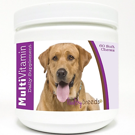 Healthy Breeds Multi-Vitamin Soft Chew Dog Supplement for Light Brown Labrador Retrievers, 60 ct.