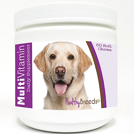 Healthy Breeds Multi-Vitamin Soft Chew Dog Supplement for Cream Labrador Retrievers, 60 ct.