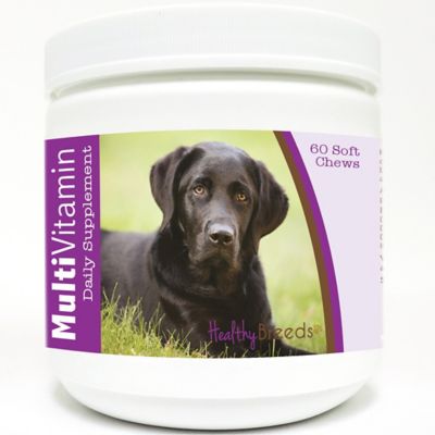Healthy Breeds Multi-Vitamin Soft Chew Dog Supplement forDark Chocolate Labrador Retrievers, 60 ct.