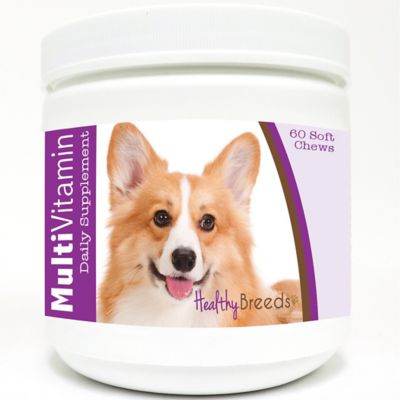 Healthy Breeds Multi-Vitamin Soft Chew Dog Supplement for Pembroke Welsh Corgis, 60 ct.