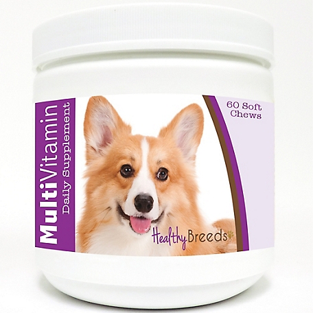 Healthy Breeds Multi-Vitamin Soft Chew Dog Supplement for Pembroke Welsh Corgis, 60 ct.