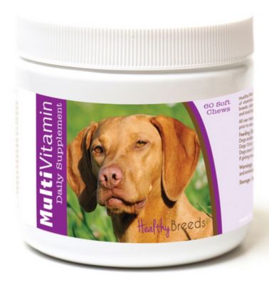Image showing  Multi-Vitamin Soft Chew Supplements for Vizsla Dogs, 60 ct.
