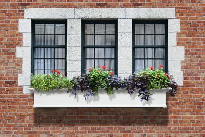 Image showing 8 th Mayne Yorkshire Vinyl Window Box