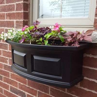 Image showing  2 ft. Nantucket Window Box