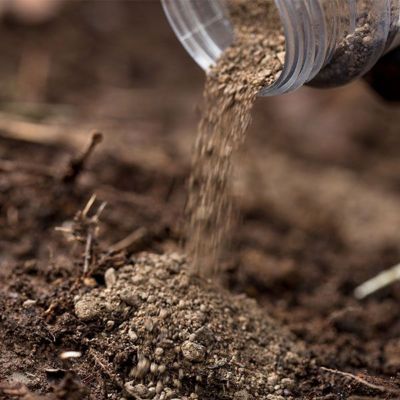 Image showing  12 oz. Grave Digger Scrape Mate