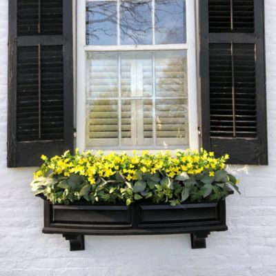Image showing  4 ft. Nantucket Window Box