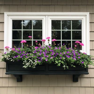 Image showing  4 ft. Nantucket Window Box