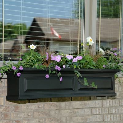 Image showing  4 ft. Nantucket Window Box