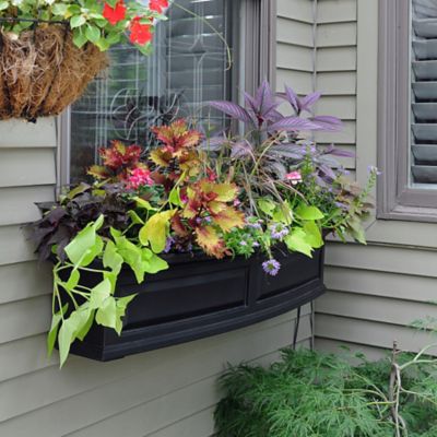Image showing 5 th Mayne 4 ft. Nantucket Window Box
