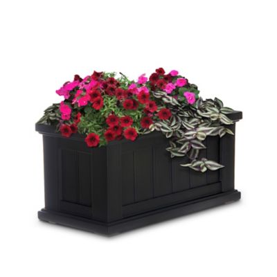 Image showing  Cape Cod 24 in. x 11 in. Patio Planter