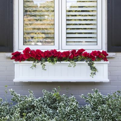 Image showing  Cape Cod Window Box, 4 ft.