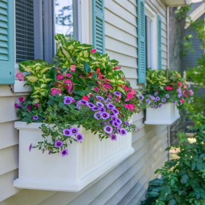 Image showing 5 th Mayne Cape Cod Window Box, 4 ft.