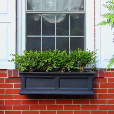 image of a Window Boxes