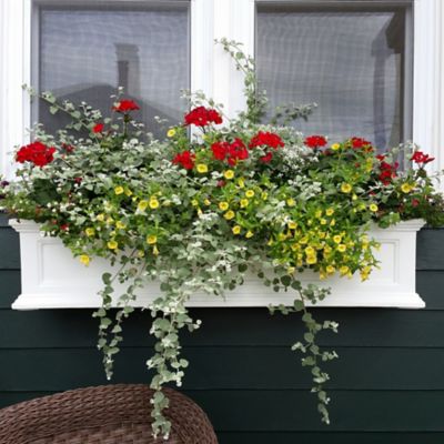 Image showing  Fairfield Weather-Resistant Polyethylene Window Box, 4 ft.