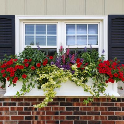 Image showing  Fairfield Weather-Resistant Polyethylene Window Box, 4 ft.