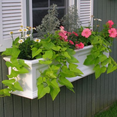 Mayne Fairfield Weather-Resistant Polyethylene Window Box, 4 ft.
