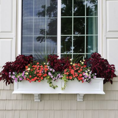 Mayne Fairfield Weather-Resistant Polyethylene Window Box, 4 ft.