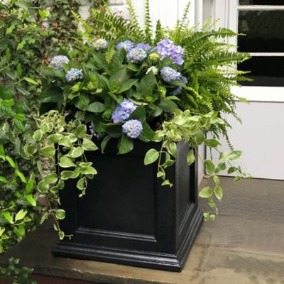 Image showing 7 th Mayne 9.5 gal. Polyethylene Fairfield Patio Planter, 20 in. x 20 in.