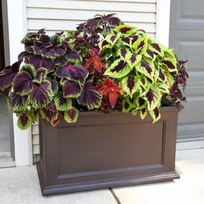 Image showing Mayne Fairfield 20 x 36in. Patio Planter