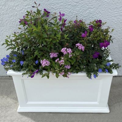 Image showing 5 th Mayne Fairfield 20 x 36in. Patio Planter