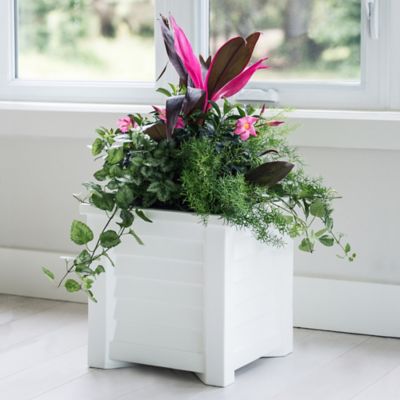 Image showing  Lakeland 16 in. x 16 in. Square Planter