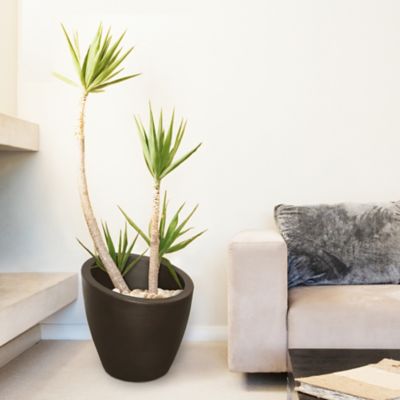 Image showing  8 gal. Polyethylene Modesto Round Planter, 20 in.