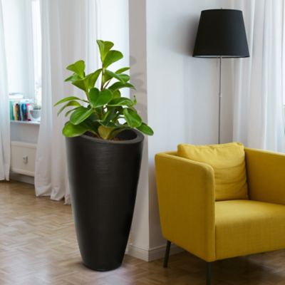 Image showing  6 gal. Polyethylene Modesto Tall Planter, 32 in.