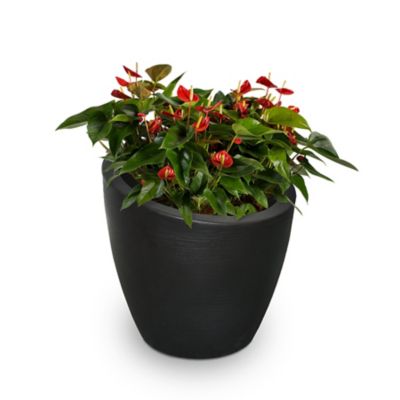 Mayne 22 gal. Polyethylene Modesto Round Planter, 30 in., Grey